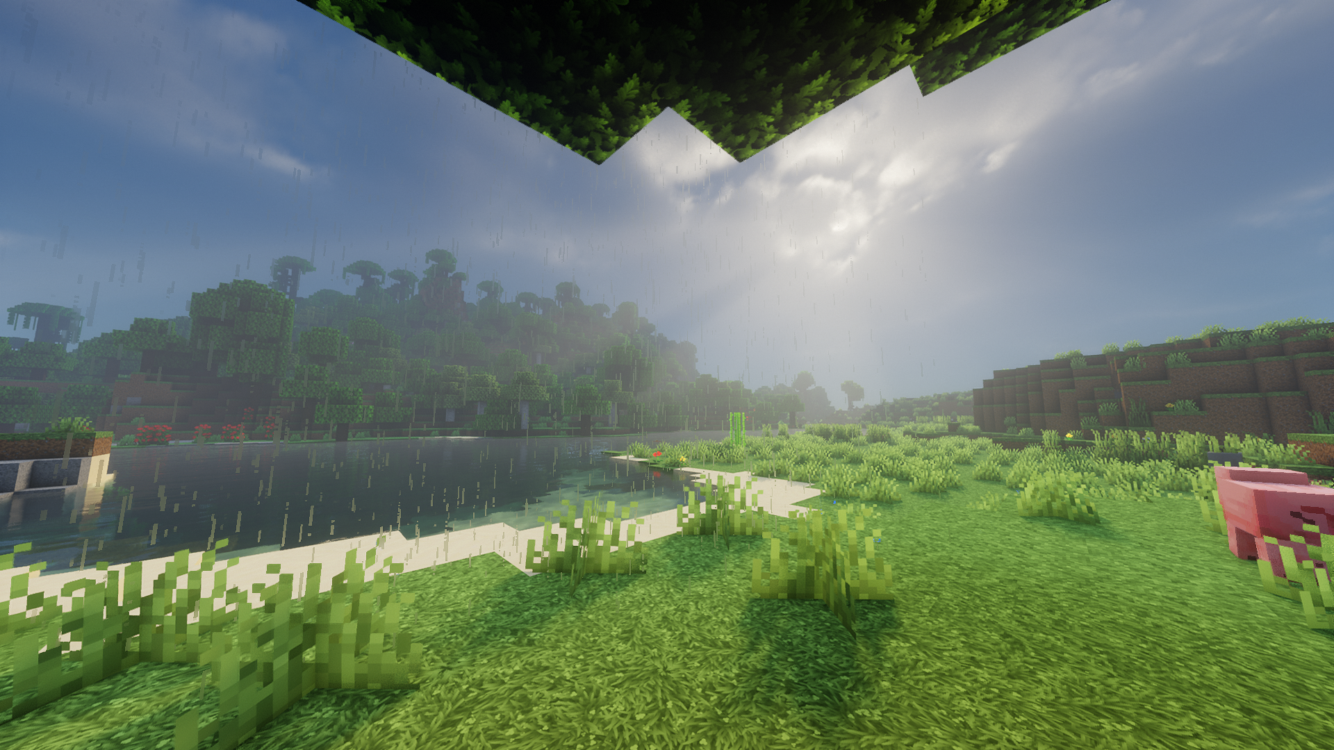 image5