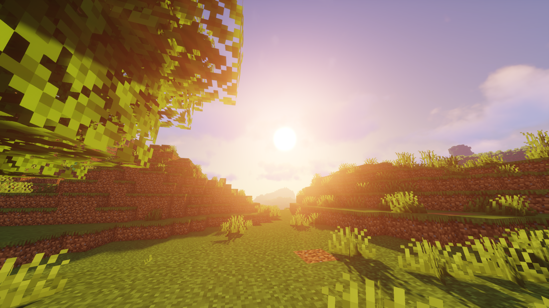 image29